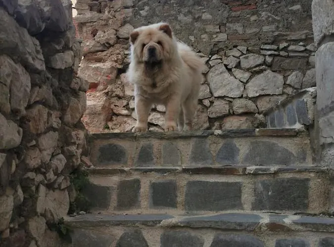 Апартаменты Tisno Resort